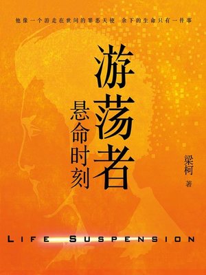 cover image of 游荡者